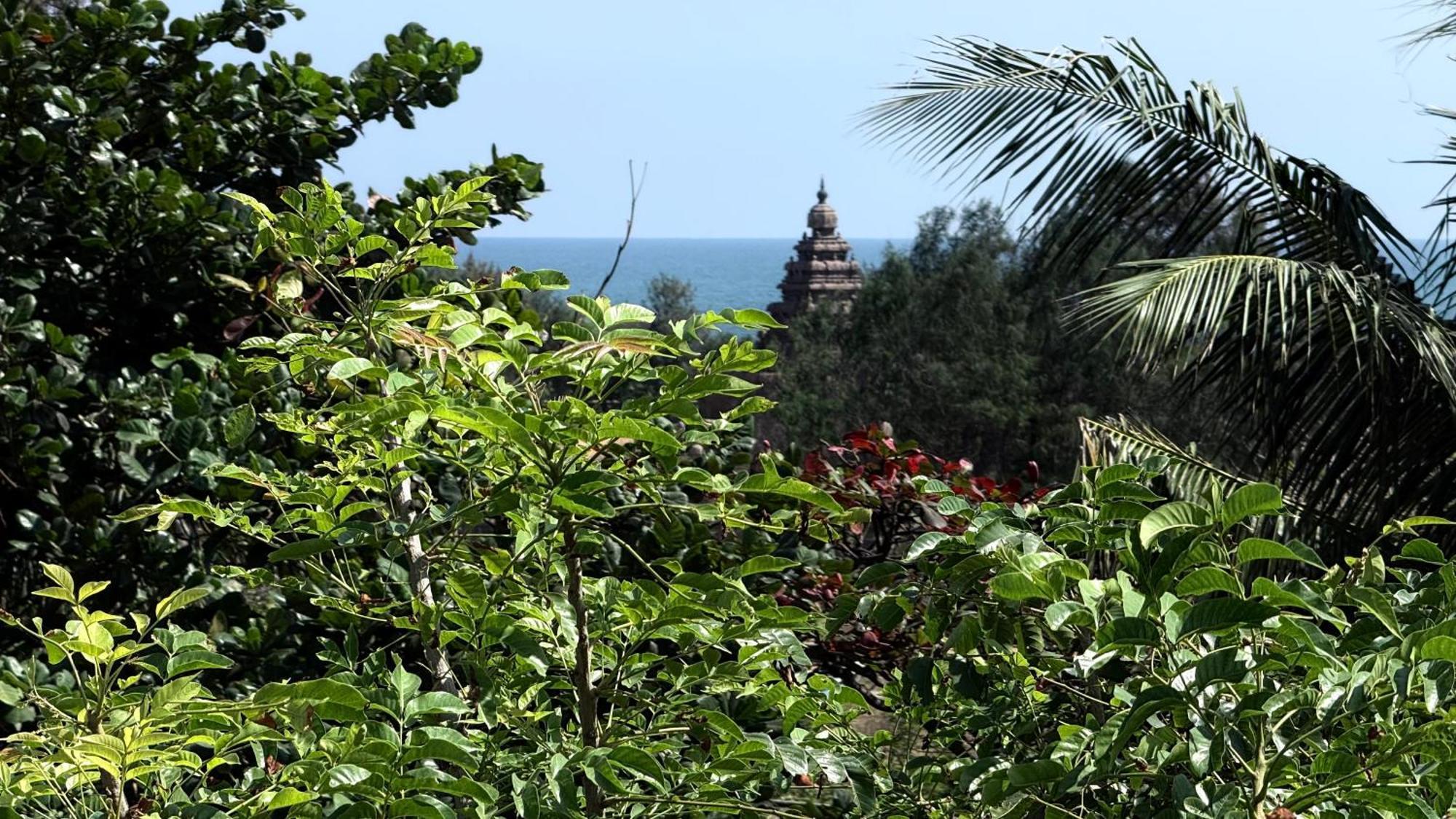 Sri Murugan Beach Paradise Hotel マハーバリプラム エクステリア 写真